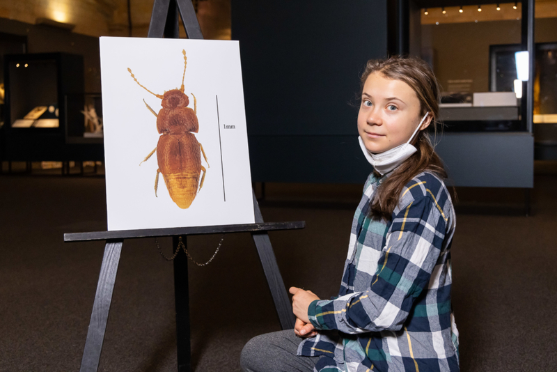 Huge Honor for Tiny Greta | Getty Images Photo by Tim Whitby