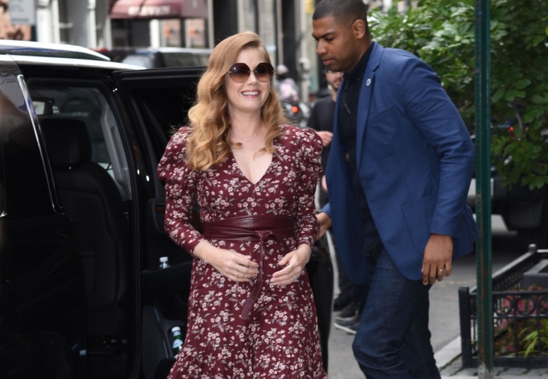 Amy Adams | Alamy Stock Photo by Derek Storm/Everett Collection/Alamy Live News