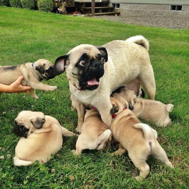 Lunch Time Is Hard | Imgur.com/TICKLEBISCUIT