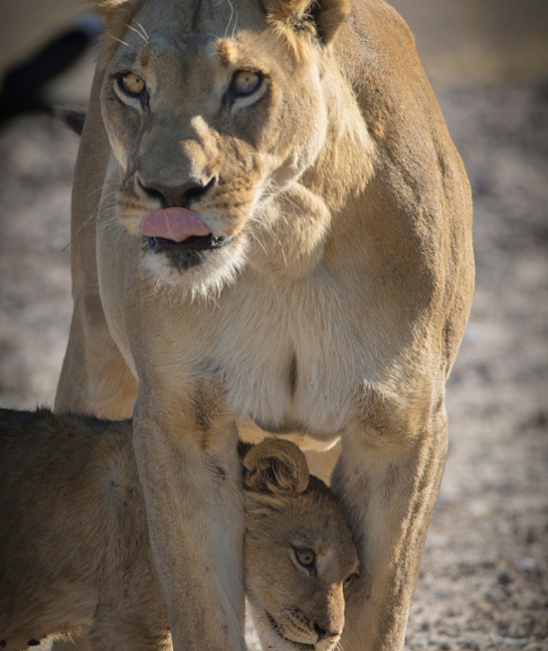 He Did What?! | Alamy Stock Photo by Stephen Adams