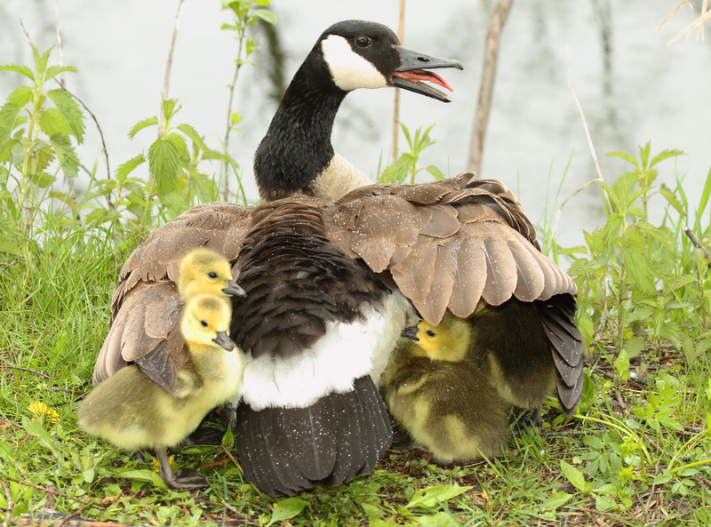 Everybody Will Be Safe | Alamy Stock Photo by Max Allen