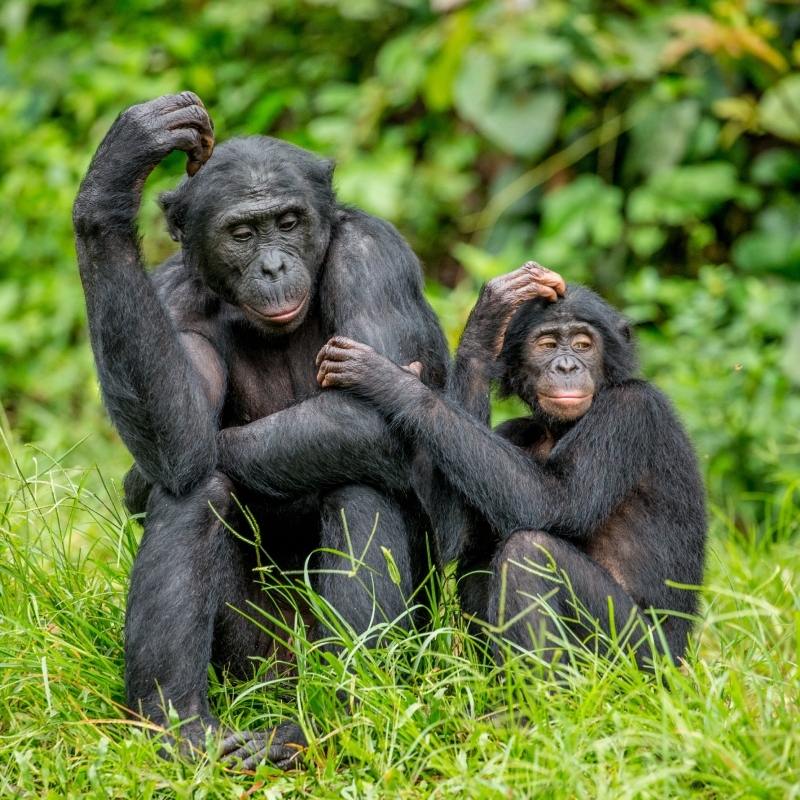 The Thinkers | Adobe Stock Photo by gudkovandrey