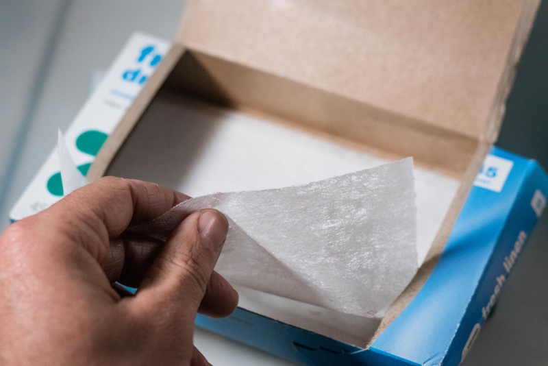 Usando Lenços de Papel para Remover Resíduos de Insetos | Shutterstock