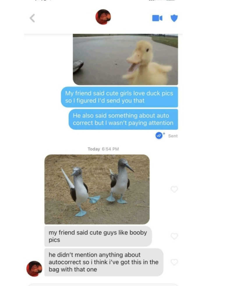 Duck Pics | Reddit.com/PowerofMoses