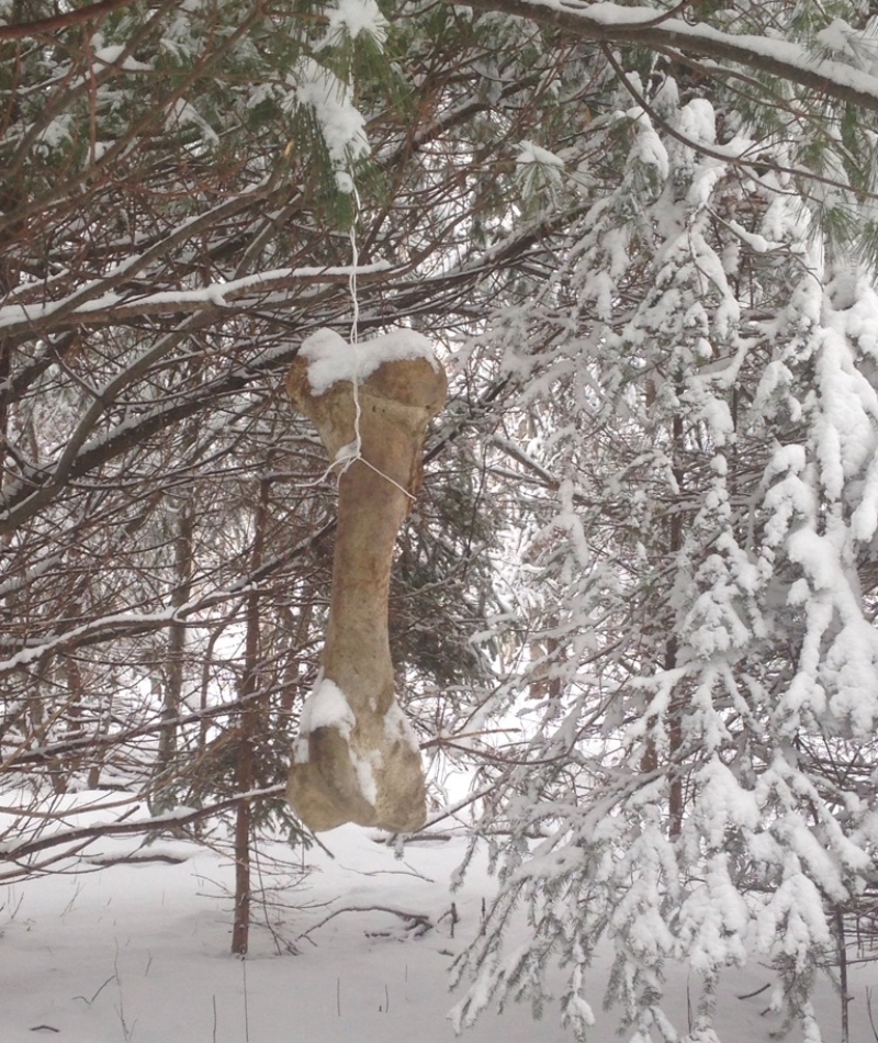 Un regalo para aves grandes | Imgur.com/eueQT5B