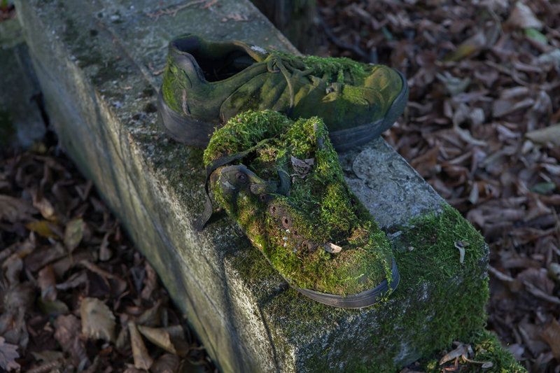 Botas de musgo | Alamy Stock Photo