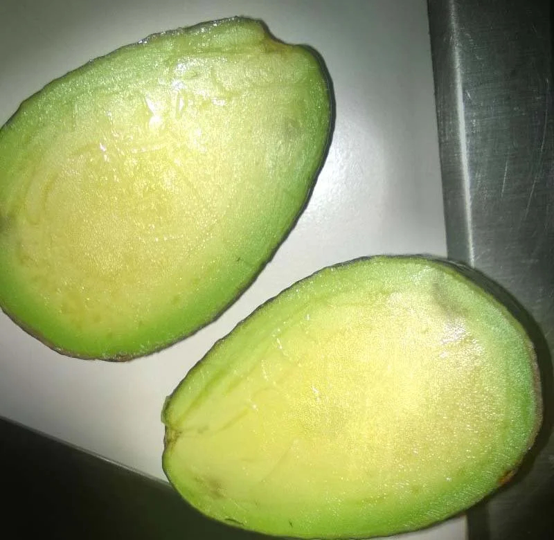 Aguacate sin semilla | Imgur.com/s2PjilR