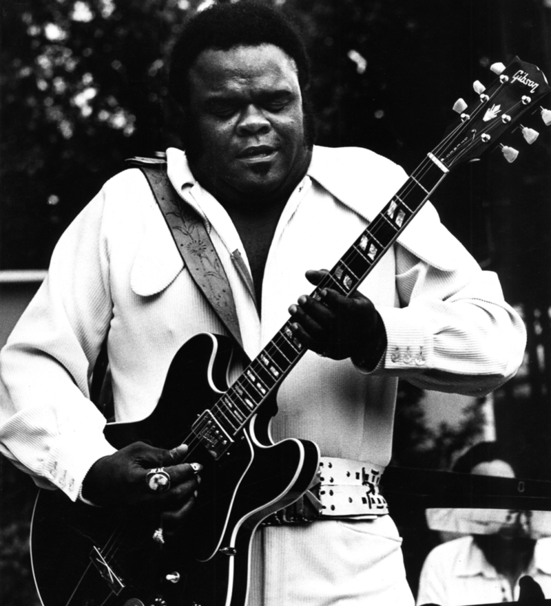 Freddie King | Alamy Stock Photo by Gijsbert Hanekroot