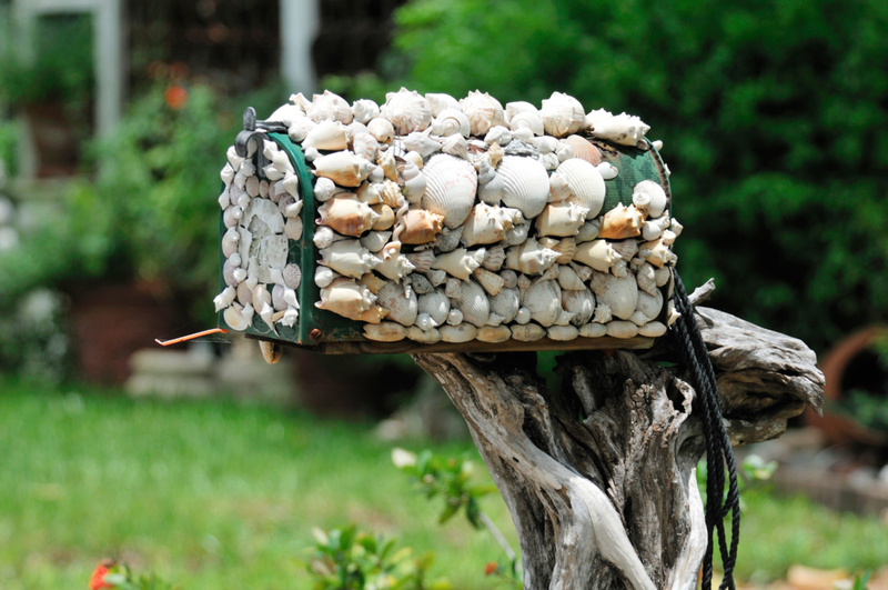 Manía por las conchas de mar | Alamy Stock Photo