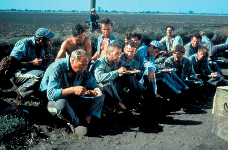 Cool Hand Luke | Alamy Stock Photo by Courtesy Everett Collection