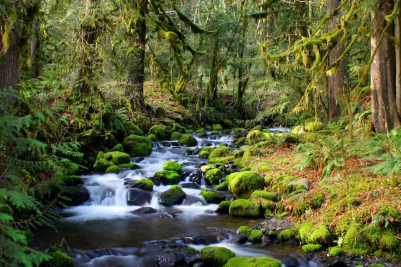 Si les eaux d'un ruisseau changent radicalement, cela pourrait être le signe d'un glissement de terrain | Alamy Stock Photo by Robert C Paulson Jr