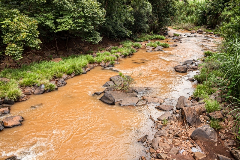 L'eau est brune ou boueuse | Alamy Stock Photo by Ricardo Ribas