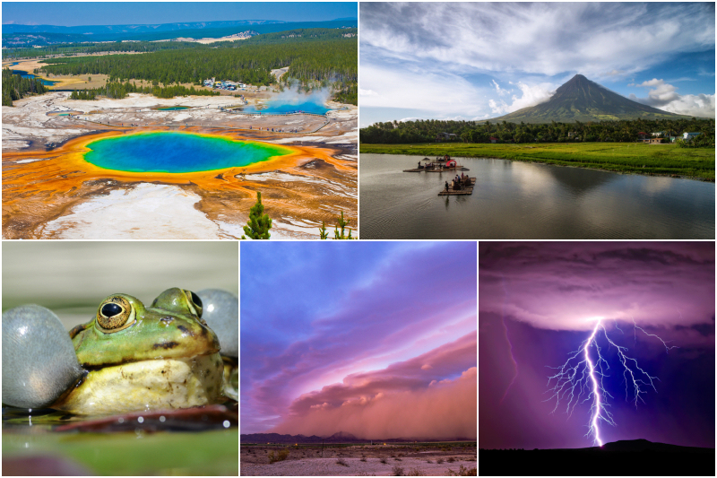 Quand la nature nous signale un danger | Shutterstock & Alamy Stock Photo by Panther Media GmbH/Burkhard & John Sirlin & RooM the Agency/DeepDesertPhoto