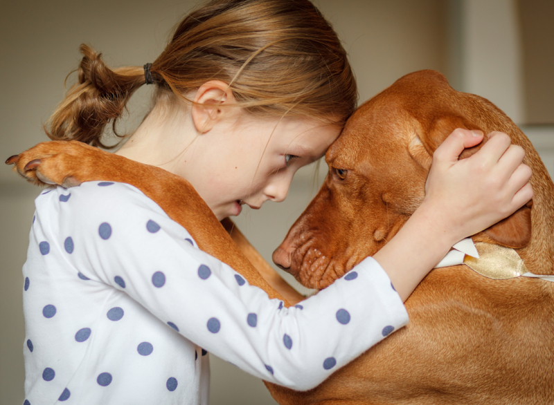 Si votre chien montre des signes d’inquiétude par rapport à une partie de votre corps, allez chez le médecin | Getty Images photo by Deborah Pendell