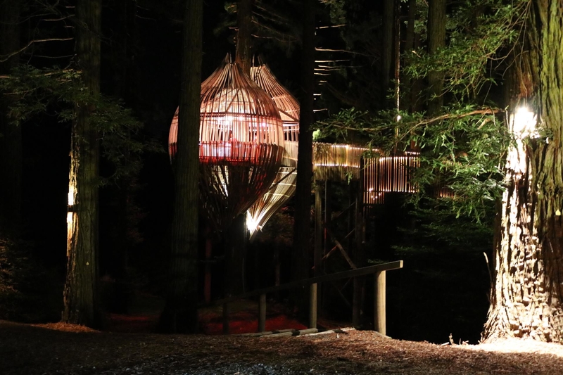 The Redwoods Treehouse in Sonoma, California | Facebook/@redwoodstreehouse