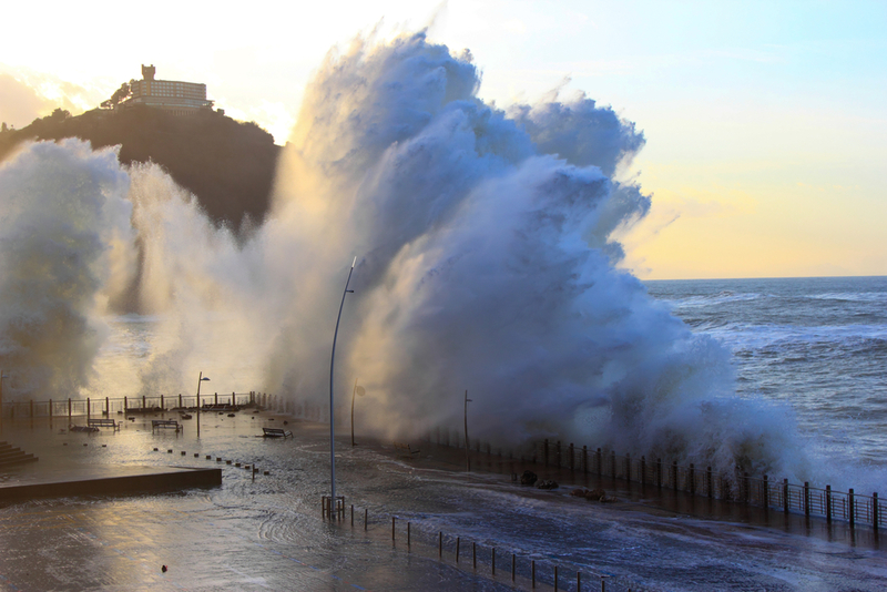 Se O Oceano Começar A Rugir, Vá Para Um Local Alto | Shutterstock