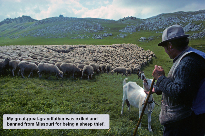 The Black Sheep of the Family | Alamy Stock Photo