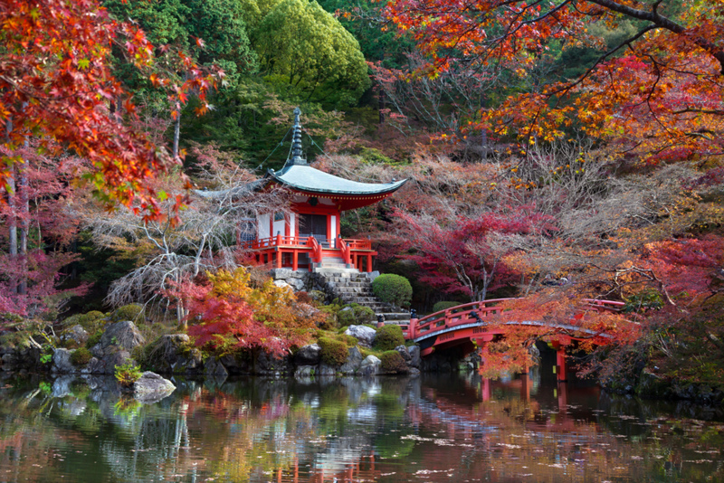 Japón | Alamy Stock Photo by Pascal Mannaerts 