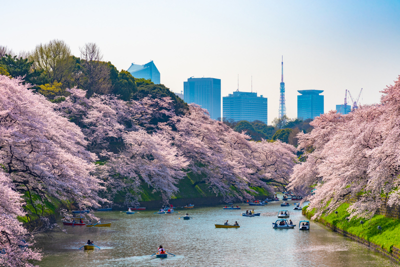 Japón | Shawn.ccf/Shutterstock