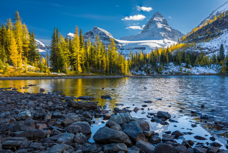 Canadá | Alamy Stock Photo by Inge Johnsson