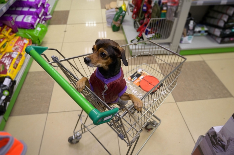 Bebés perrunos por sobre bebés reales | Alamy Stock Photo