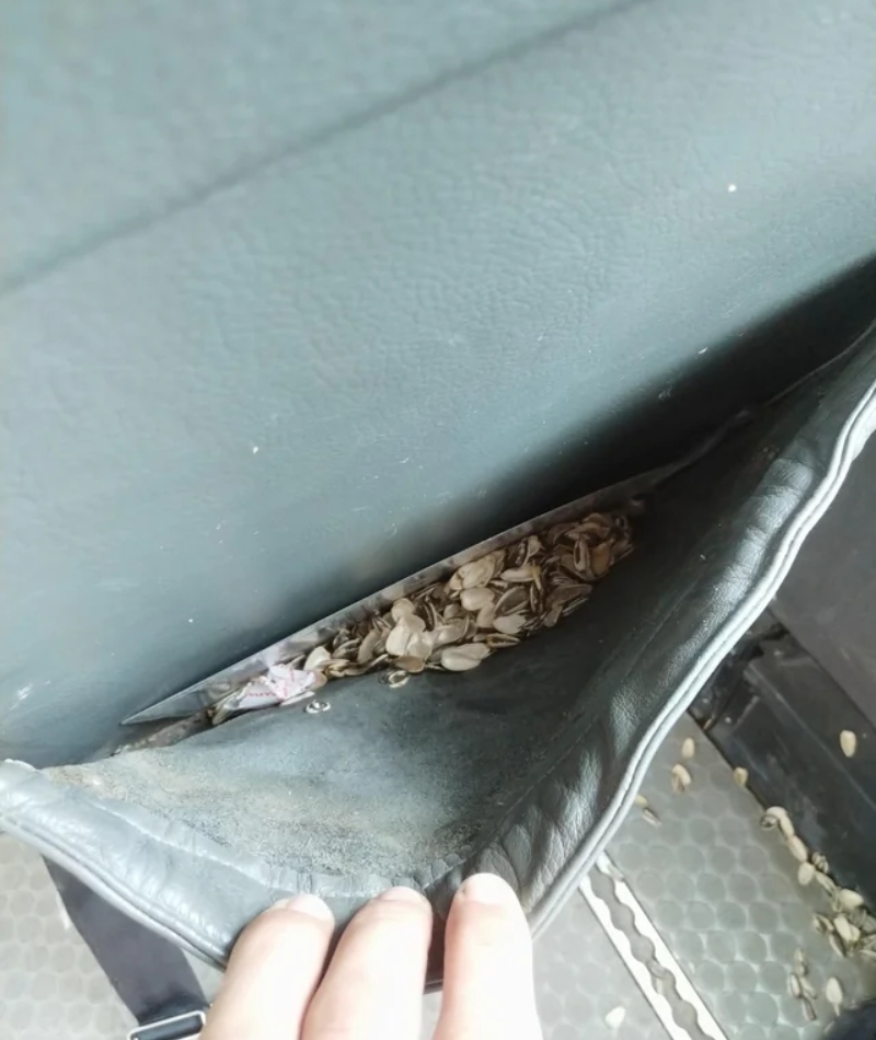 ¿Podrían llevar snacks normales al vuelo? | Reddit.com/_-World-_