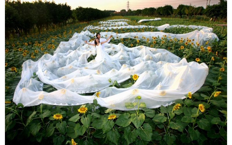 Todos os Cantos do Globo | Getty Images Photo by Zhang Weiqing/Visual China Group 