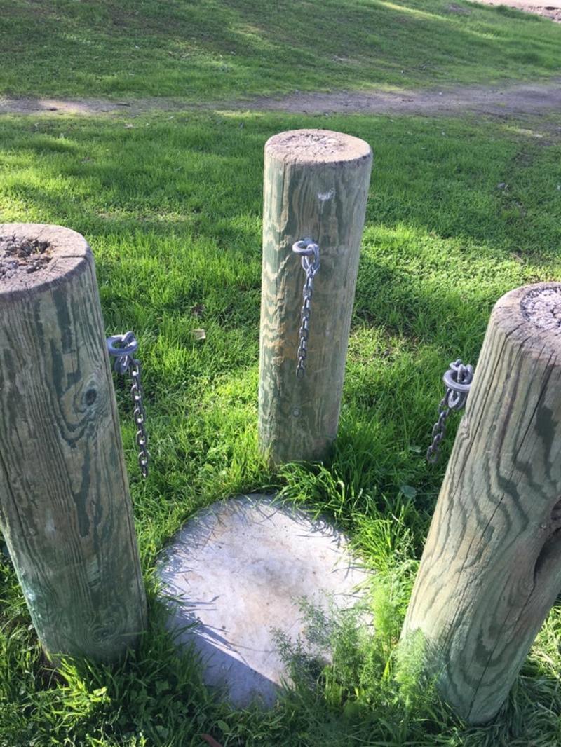 Tree-Henge | Reddit.com/tripping_nathan