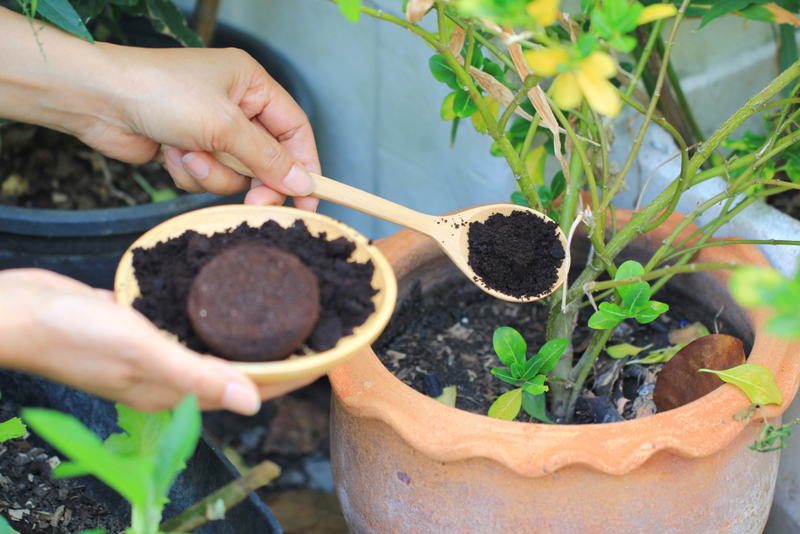 Used Coffee Grounds | Shutterstock