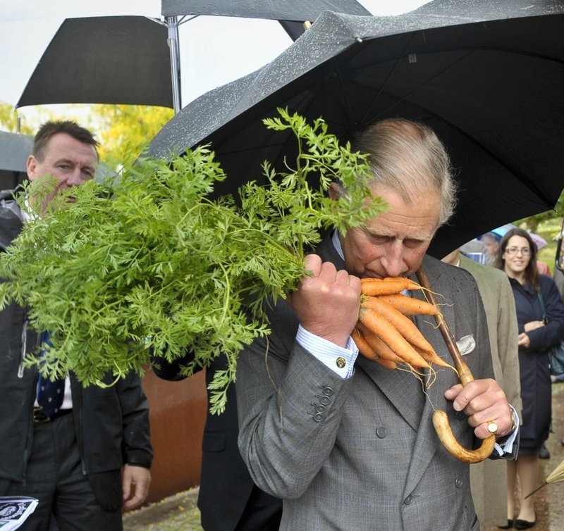 Renifler des carottes | Alamy Stock Photo by PA Images/Ben Birchall