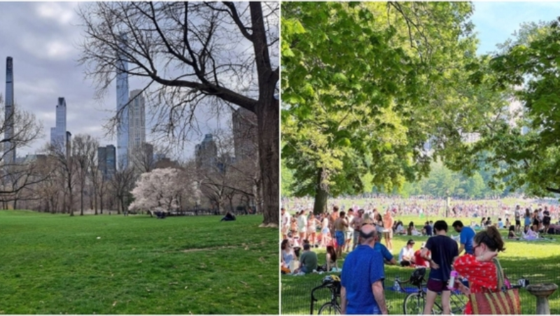 Sheep Meadow Park in New York City’s Central Park, USA | Instagram/@catseye99 & @edudenali