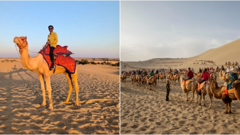 Desert Camel Riding, Dubai | Instagram/@sirius0027 & Alamy Stock Photo 