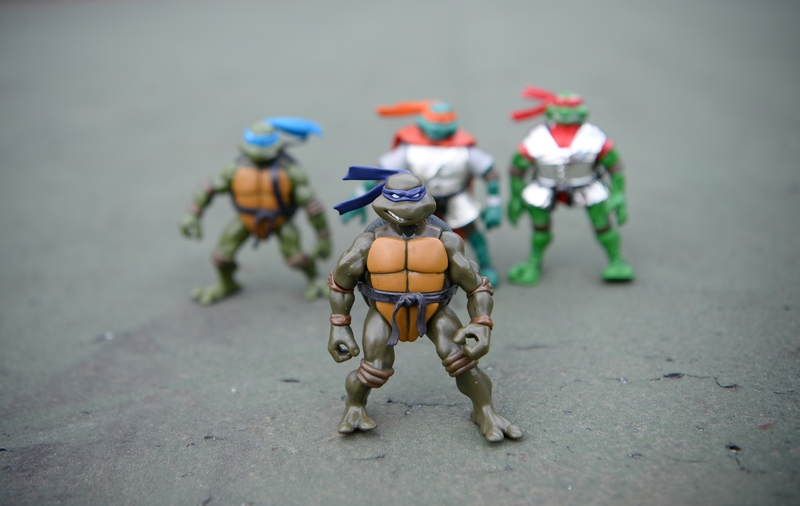 Las tortugas ninja | Shutterstock Photo by Burcu Ergin