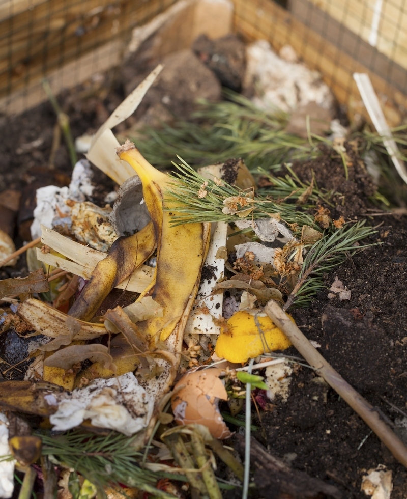 Banana Peels = Compost | Shutterstock