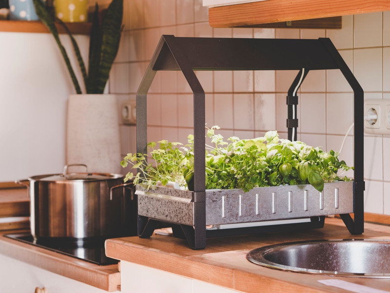 Countertop Gardens | Alamy Stock Photo