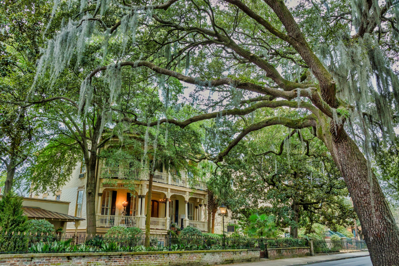 Filmagens em Savannah | Alamy Stock Photo