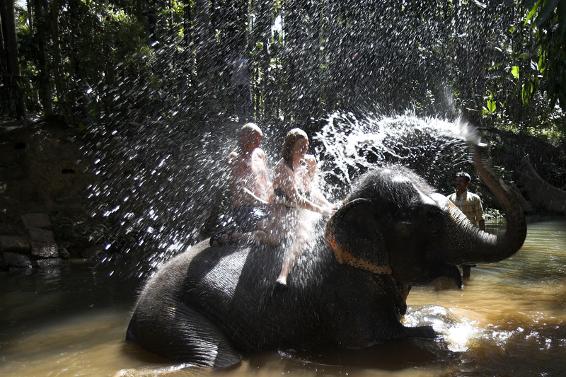 Elefantendusche | Getty Images Photo by Andrew Woodley/Education Images/Universal Images Group