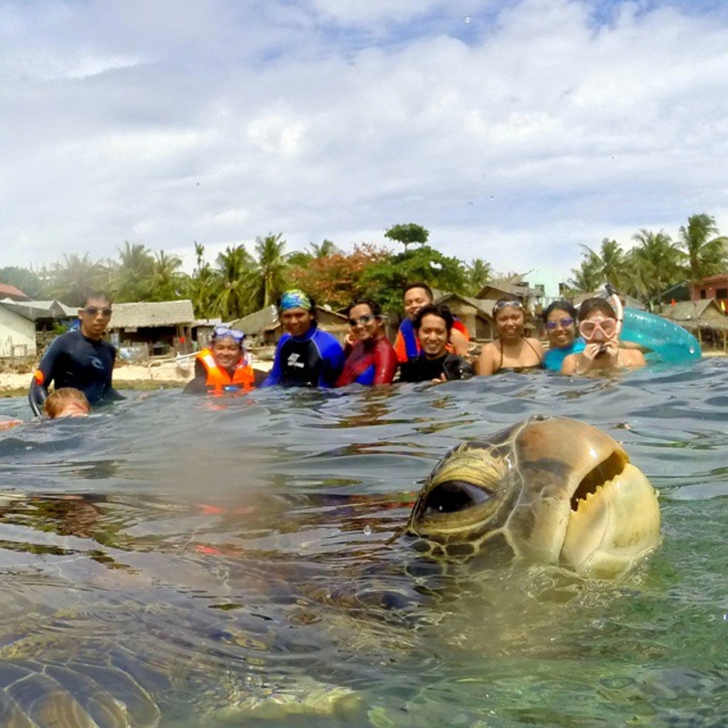 Todos ellos me hicieron photobomb | Imgur.com/psalms27