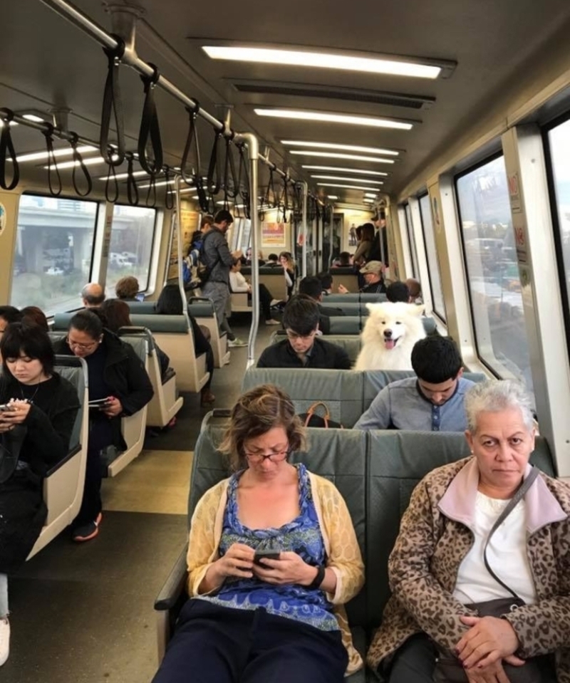 On the Daily Commute | Reddit.com/Harryism