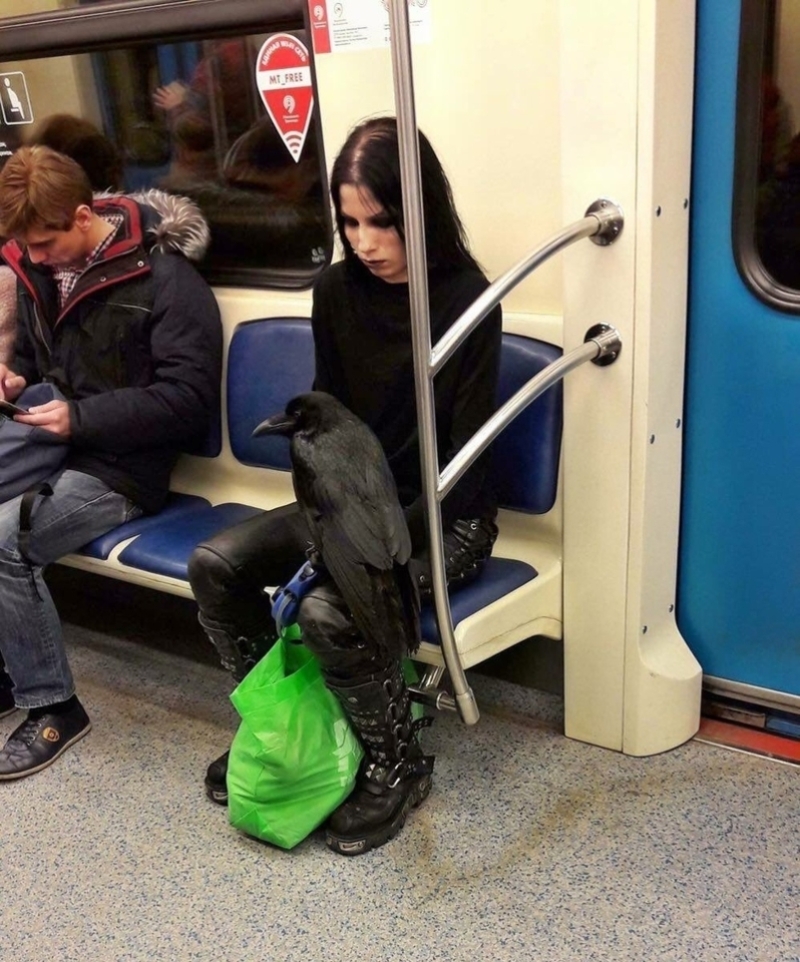 Forevermore Riding Public Transportation | Imgur.com/WXuK1GT