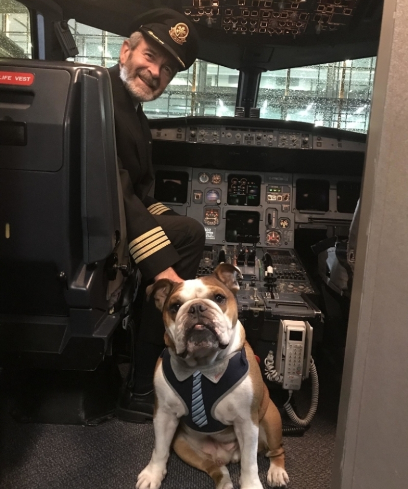 We Need a New Copilot | Reddit.com/iamkokonutz