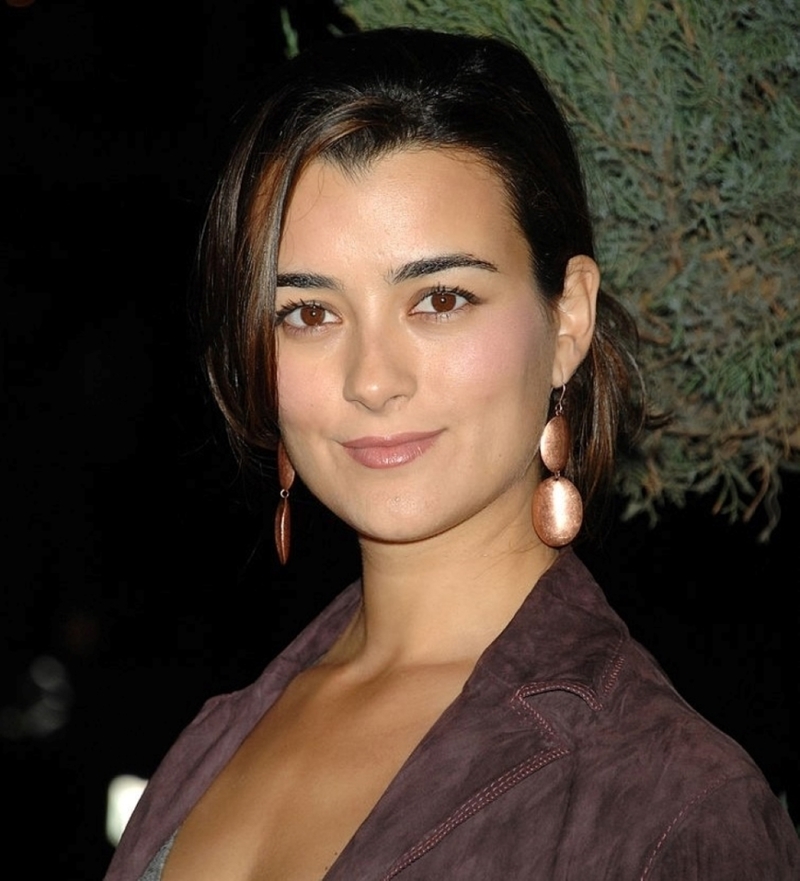 Cote de Pablo antes | Getty Images Photo by Jeff Kravitz/FilmMagic