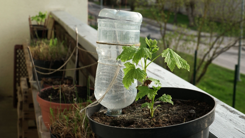 Automatic Watering System | Alamy Stock Photo