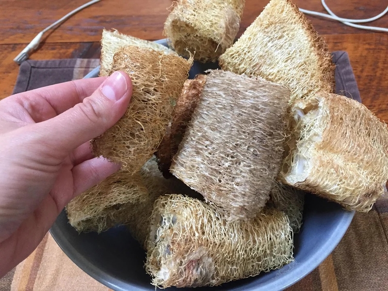 Grow Your Own Sponges | Reddit.com/scavenger_hobo