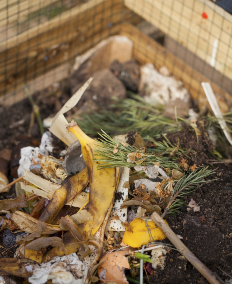 Banana Peels = Compost | Shutterstock