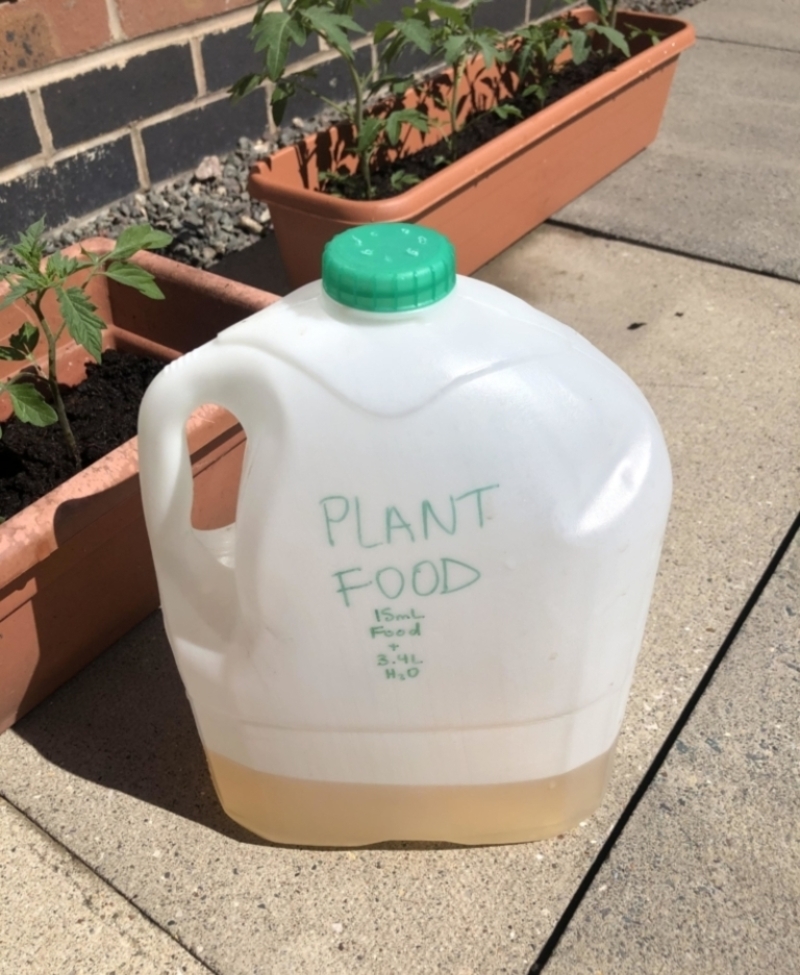 Milk Jug Watering Can | Reddit.com/applepiecheetah