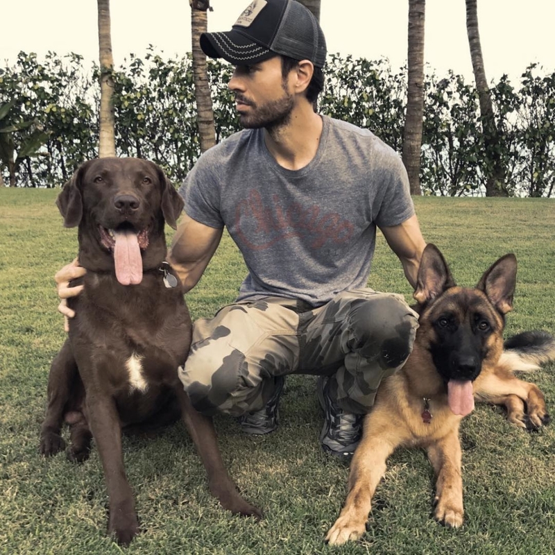 Amor Pelos Cachorros | Instagram/@enriqueiglesias