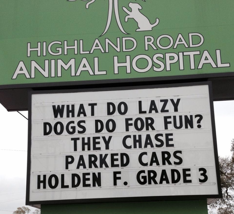 These Funny Vet Signs Will Brighten Your Day – Herald Weekly