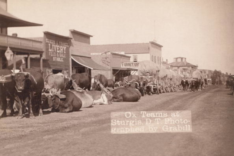 Sturgis, Dakota del Sur | Getty Images Photo by Buyenlarge