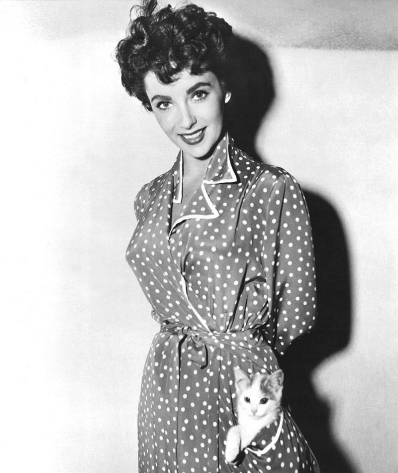 O Gato de Elizabeth Taylor, 1953 | Alamy Stock Photo by Everett Collection Inc 